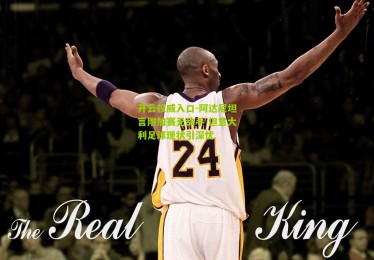 开云权威入口-阿达尼坦言附加赛无敌手 但意大利足球现状引深忧