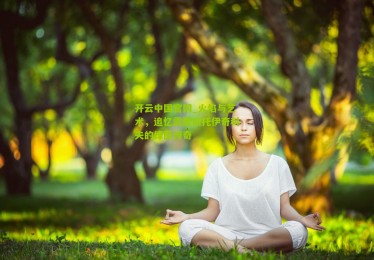 开云中国官网_火焰与艺术，追忆霹雳斯托伊奇科夫的绿茵传奇