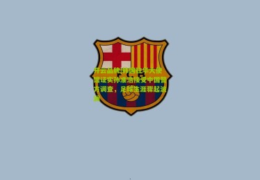 开云品牌|韩国驻华大使馆证实孙准浩接受中国警方调查，足球生涯骤起波澜