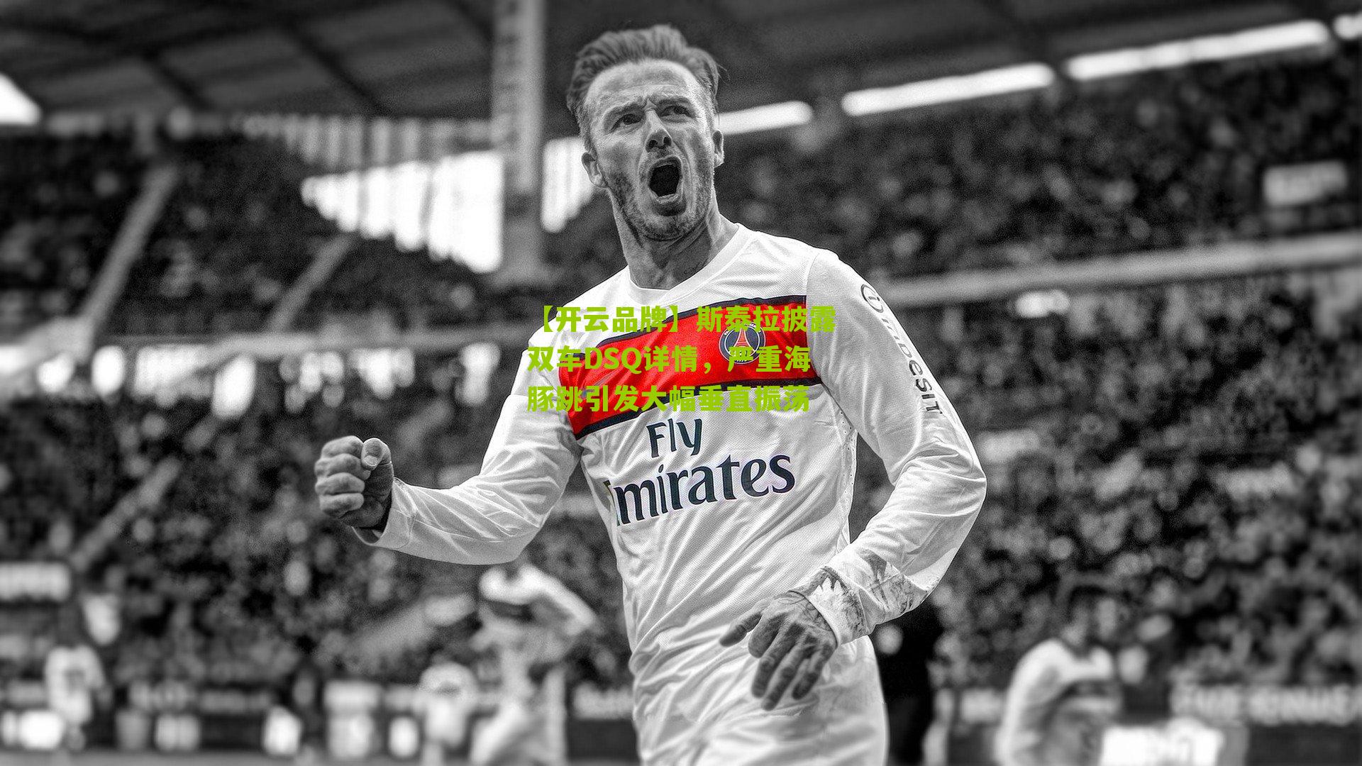 斯泰拉披露双车DSQ详情，严重海豚跳引发大幅垂直振荡