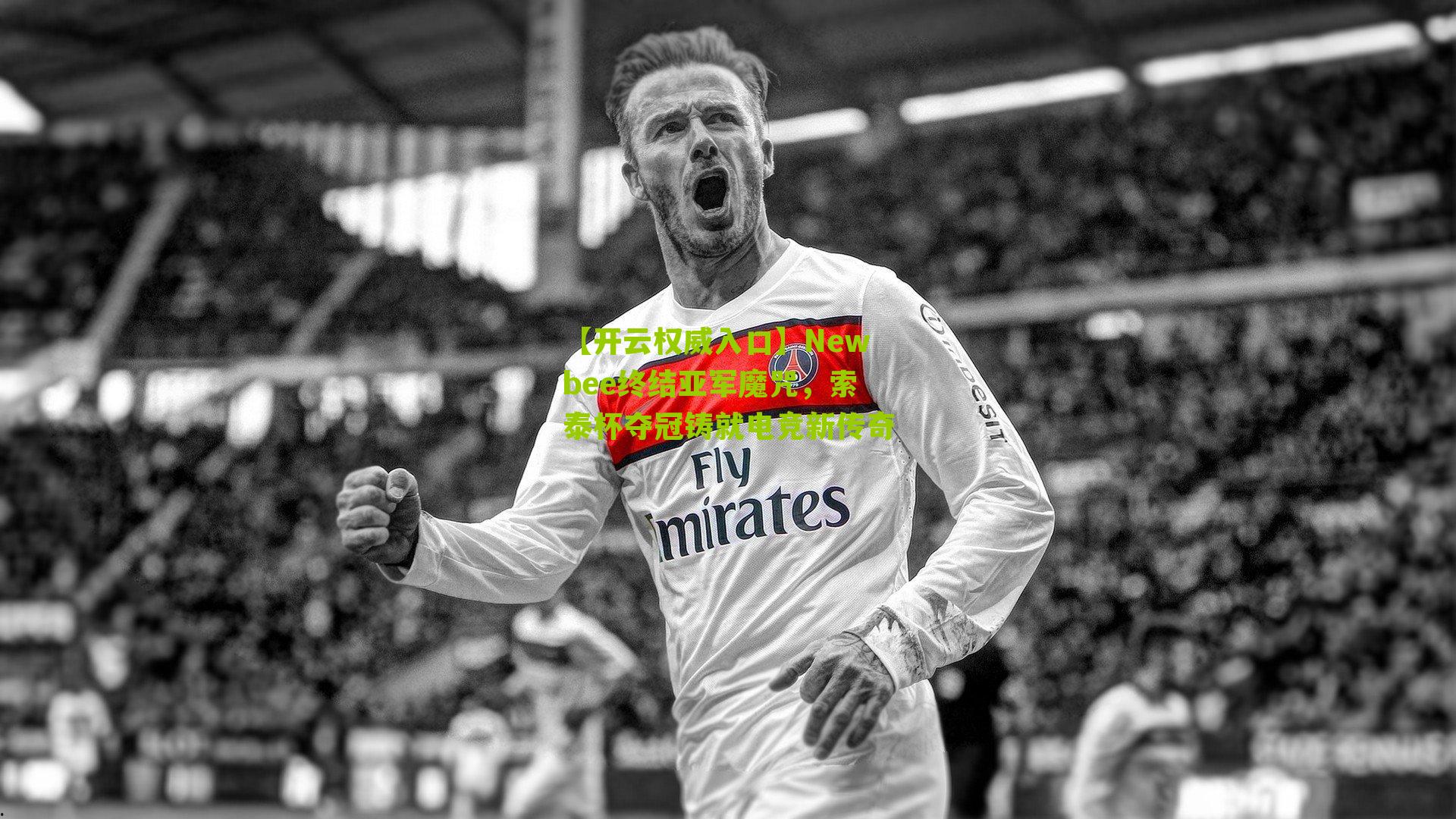 Newbee终结亚军魔咒，索泰杯夺冠铸就电竞新传奇